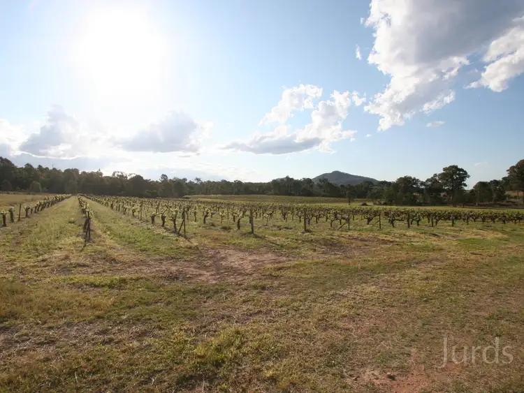 Sixth view of Homely rural property listing, 12, LOT 12 Milbrodale Road, Broke NSW 2330