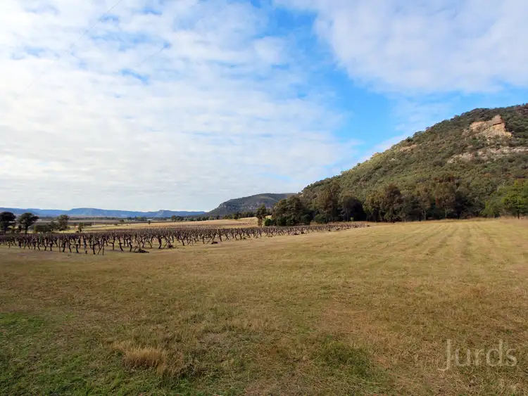 Seventh view of Homely rural property listing, 12, LOT 12 Milbrodale Road, Broke NSW 2330