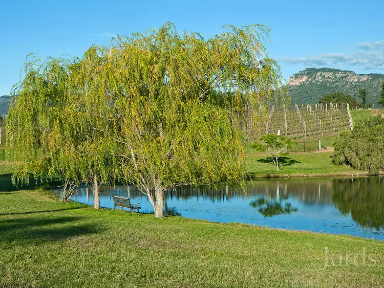 Second view of Homely rural property listing, 71 Adams Peak Road, Broke NSW 2330