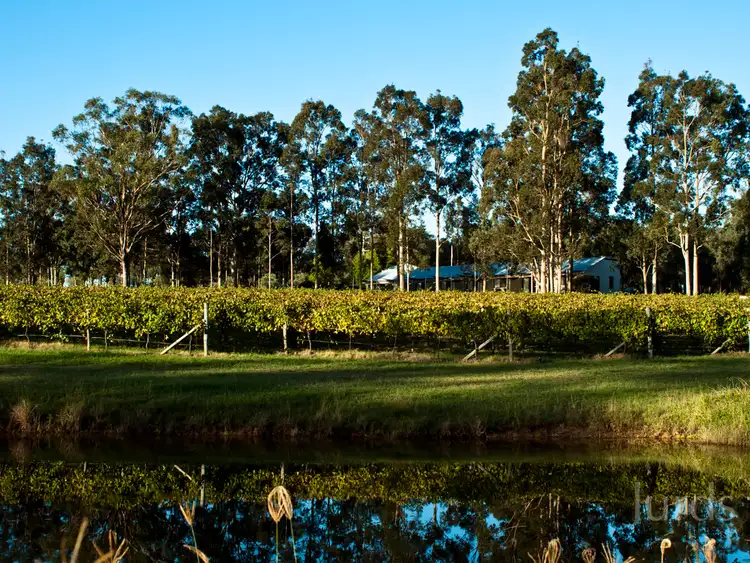 Second view of Homely rural property listing, 647 Hermitage Road, Pokolbin NSW 2320