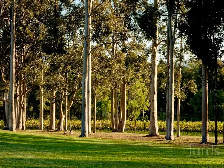 Fourth view of Homely rural property listing, 647 Hermitage Road, Pokolbin NSW 2320