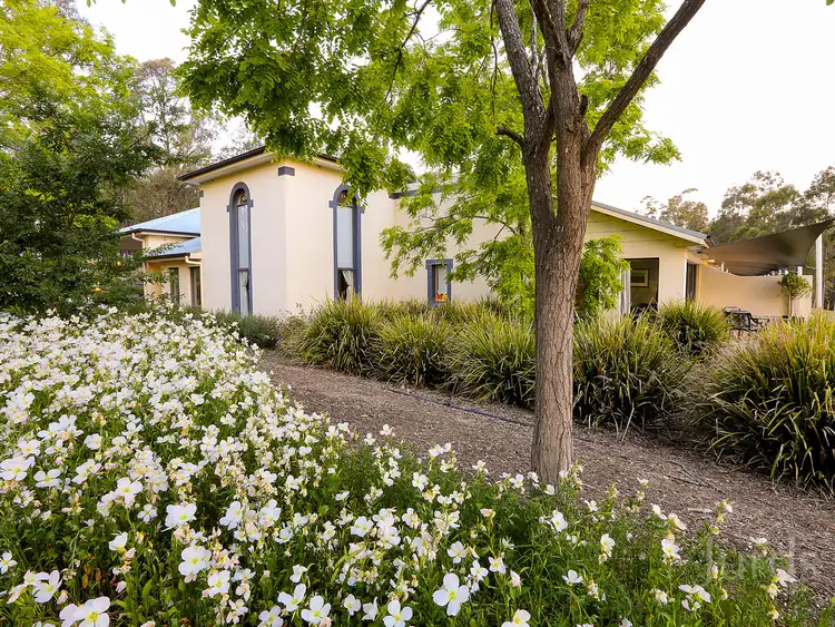 Seventh view of Homely rural property listing, 647 Hermitage Road, Pokolbin NSW 2320