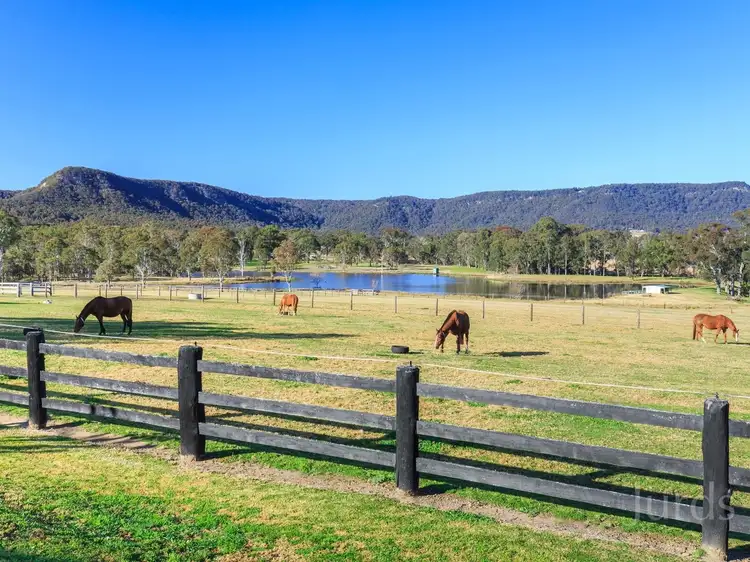 Fifth view of Homely rural property listing, 859 Sandy Creek Road, Quorrobolong NSW 2325