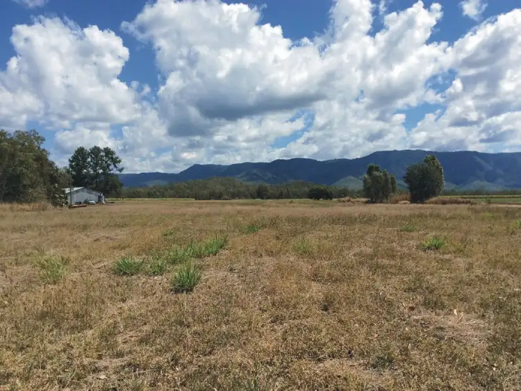 Fourth view of Homely rural property listing, Lot 1 & 3 Baillies Road, Upper Stone QLD 4850
