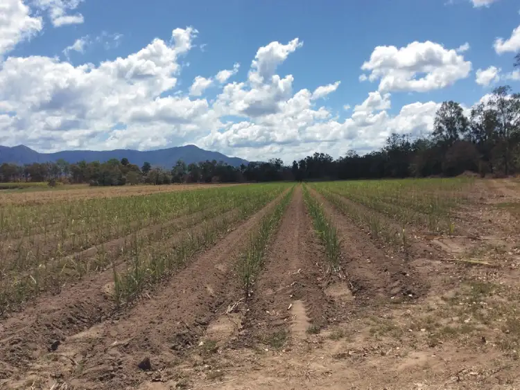 Sixth view of Homely rural property listing, Lot 1 & 3 Baillies Road, Upper Stone QLD 4850