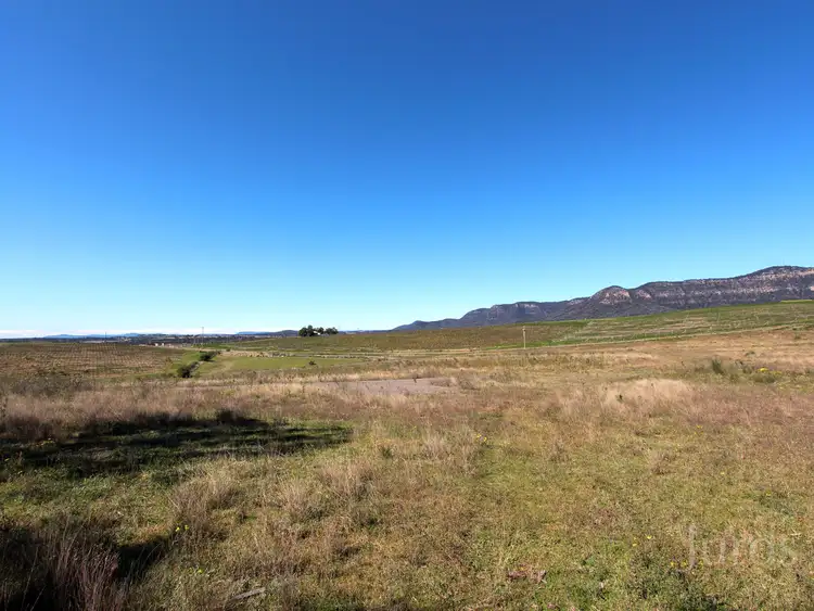 Main view of Homely rural property listing, LOT 42 Mistletoe Lane, Pokolbin NSW 2320