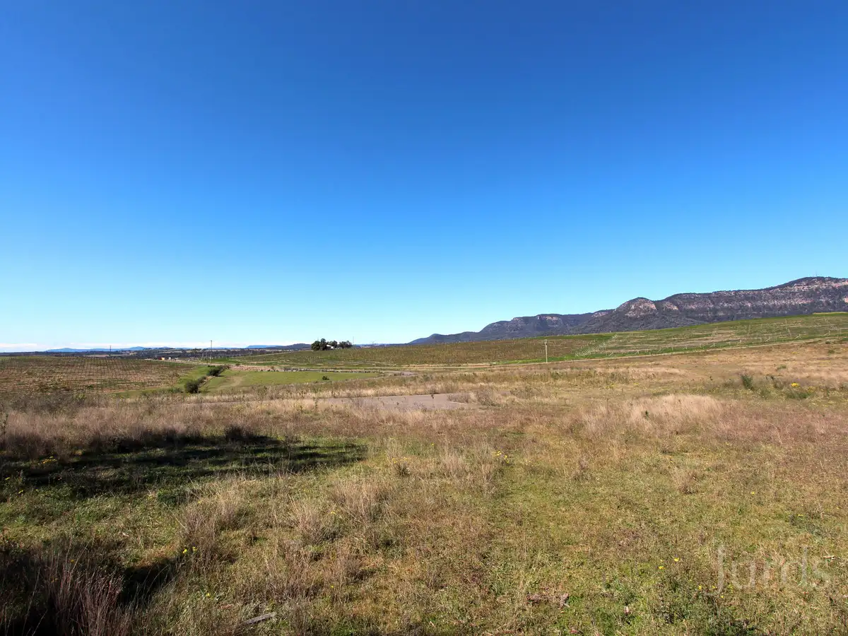 Main view of Homely rural property listing, LOT 42 Mistletoe Lane, Pokolbin NSW 2320