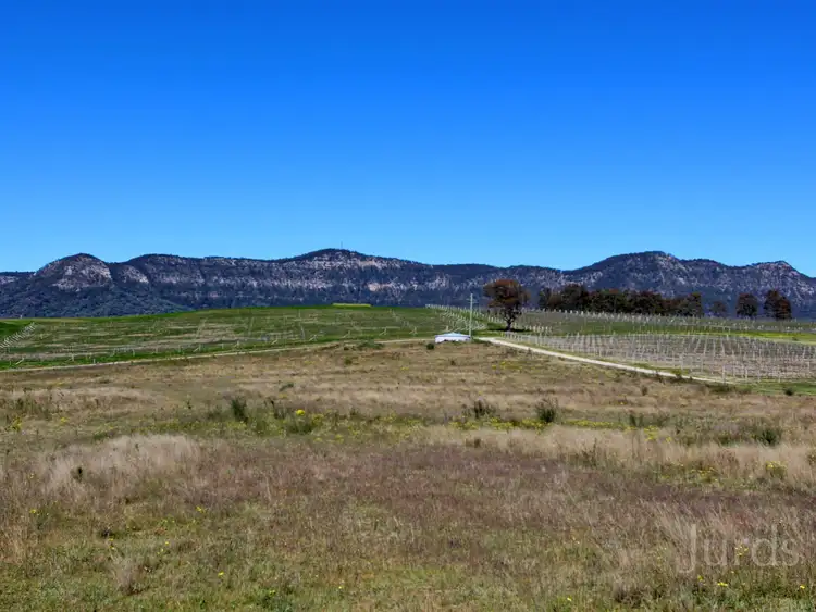 Second view of Homely rural property listing, LOT 42 Mistletoe Lane, Pokolbin NSW 2320