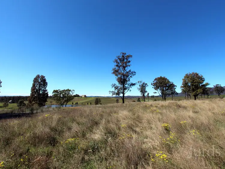 Fifth view of Homely rural property listing, LOT 42 Mistletoe Lane, Pokolbin NSW 2320