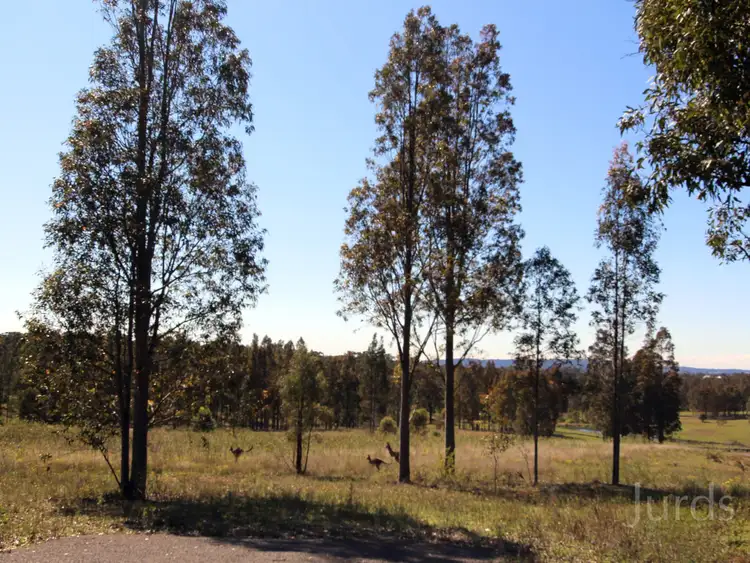 Seventh view of Homely rural property listing, LOT 42 Mistletoe Lane, Pokolbin NSW 2320