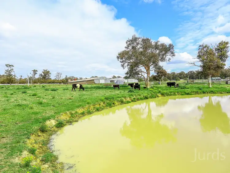 Second view of Homely rural property listing, 72 Sawyers Gully Road, Sawyers Gully NSW 2326