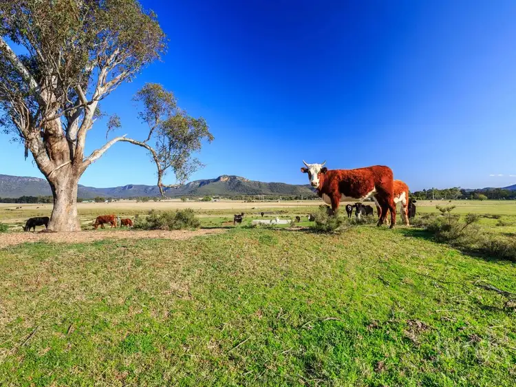 54-70 Cochrane Street, Broke NSW 2330