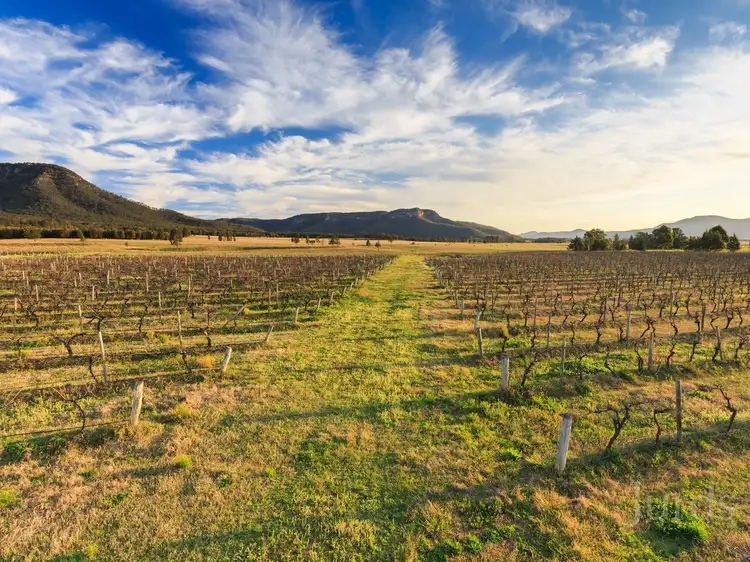 Second view of Homely rural property listing, Spring Mountain Oakley Lane, Broke NSW 2330