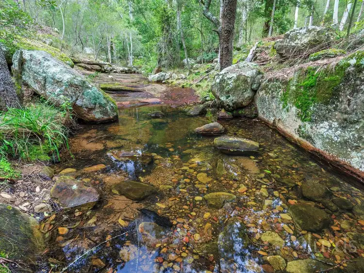 Third view of Homely rural property listing, 121 Wollombi Road, Broke NSW 2330