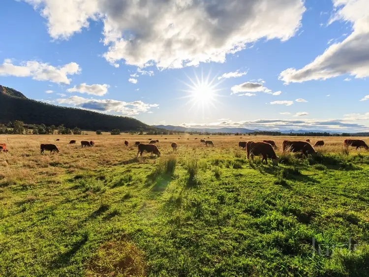 Fifth view of Homely rural property listing, 121 Wollombi Road, Broke NSW 2330
