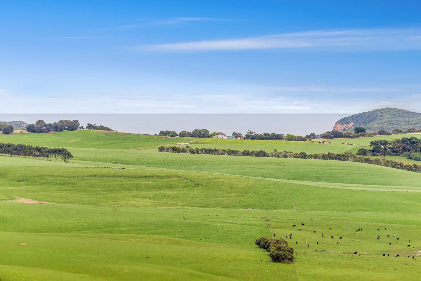 Main view of Homely rural property listing, 530 Fords  Road, Princetown VIC 3269