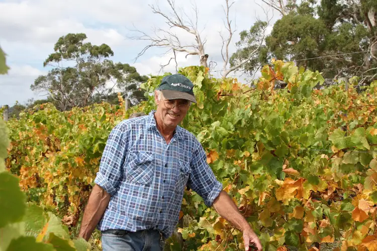 Fourth view of Homely rural property listing, 495 Murroon Road, Pennyroyal VIC 3235