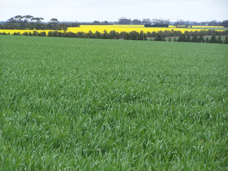 Fourth view of Homely rural property listing, Foxhow- Cundare Road, Berrybank VIC 3323