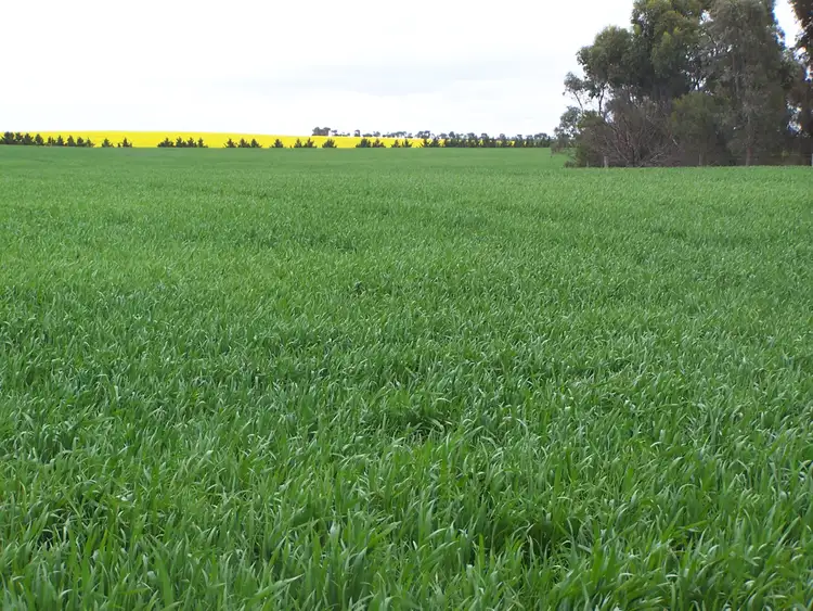 Sixth view of Homely rural property listing, Foxhow- Cundare Road, Berrybank VIC 3323