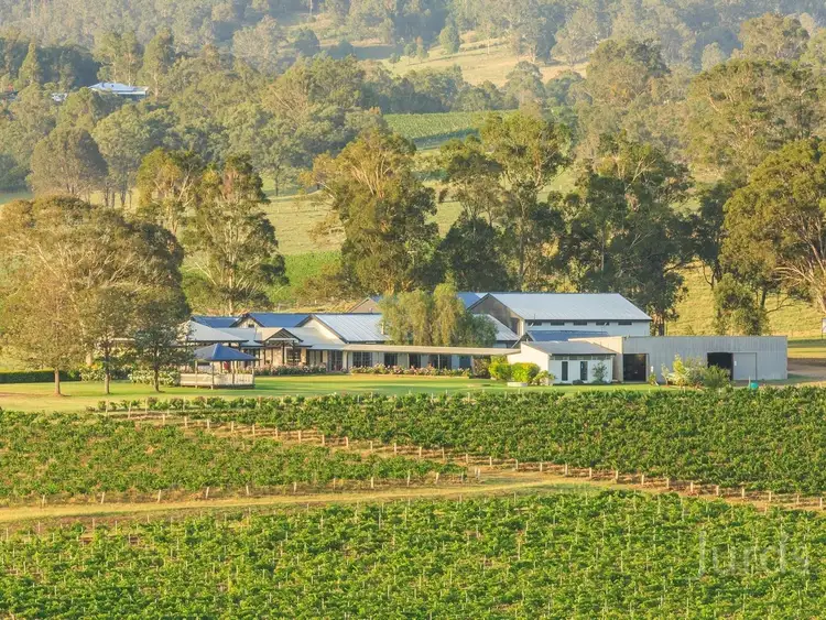 Main view of Homely rural property listing, 310 Oakey Creek Road, Pokolbin NSW 2320