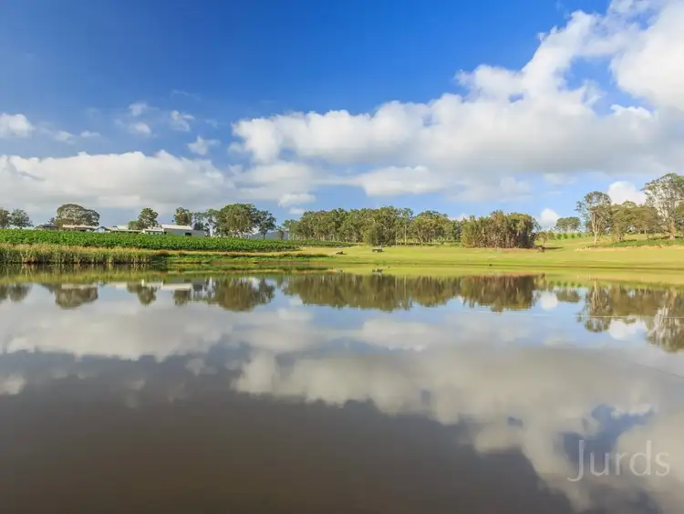 Fourth view of Homely rural property listing, 310 Oakey Creek Road, Pokolbin NSW 2320