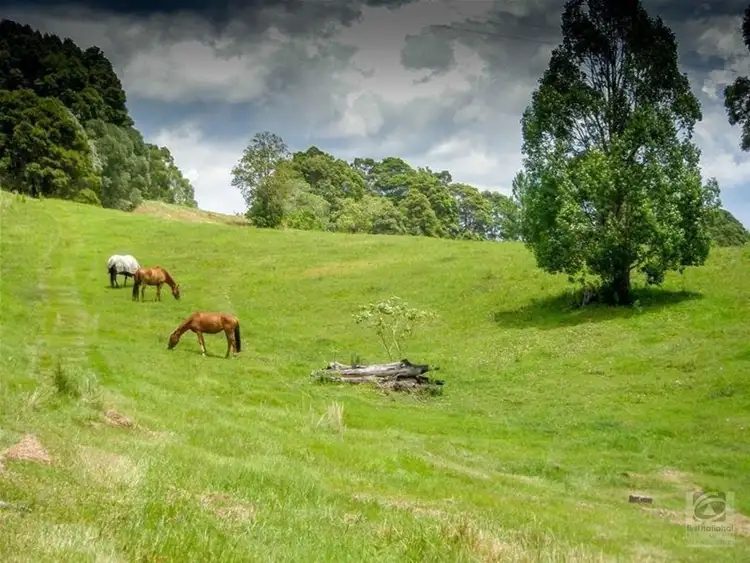 Fifth view of Homely rural property listing, 68 Wilman Road Round Mountain Road, Cabarita Beach NSW 2488