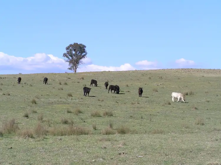 Fourth view of Homely rural property listing, 2 Bylong Valley Way, Mudgee NSW 2850