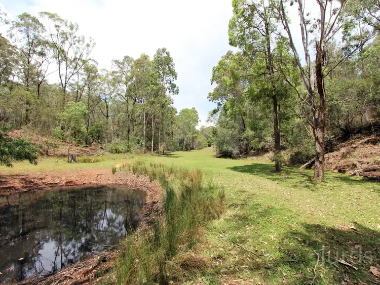 Fifth view of Homely rural property listing, 44-46, LOT 44-46 Blind Creek Road, Mitchells Flat NSW 2330