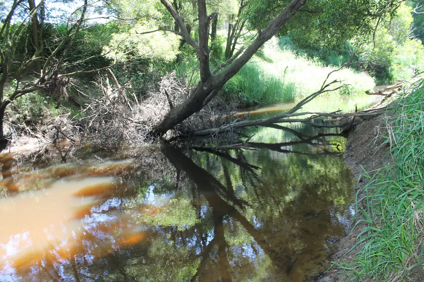 Main view of Homely rural property listing, 1140 Gellibrand River Road, Chapple Vale VIC 3239