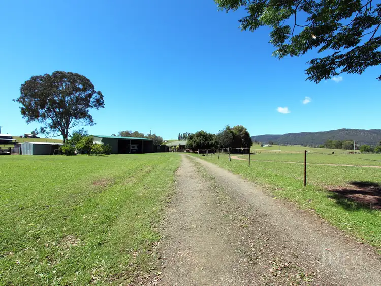 Main view of Homely rural property listing, 1517 Mount View Road, Millfield NSW 2325
