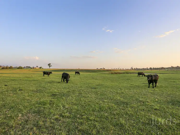Third view of Homely rural property listing, 332 Standen Drive, Lower Belford NSW 2335