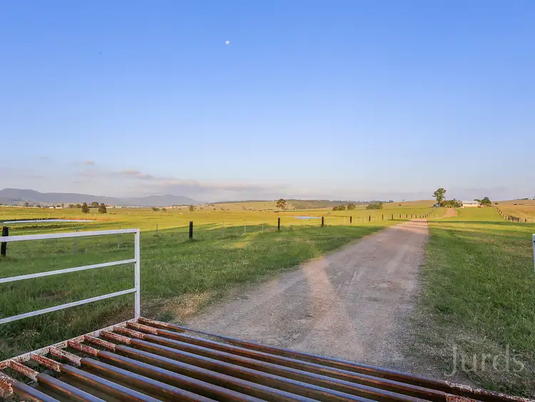 Sixth view of Homely rural property listing, 332 Standen Drive, Lower Belford NSW 2335