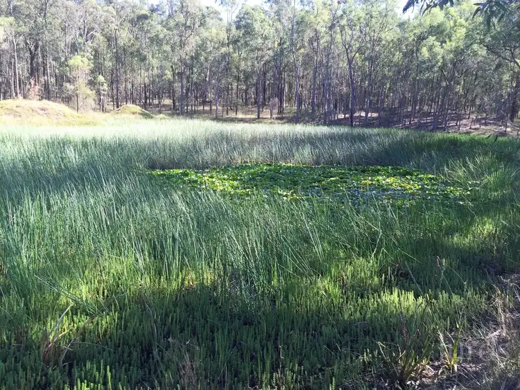 Fourth view of Homely rural property listing, 357C Standen Drive, Lower Belford NSW 2335