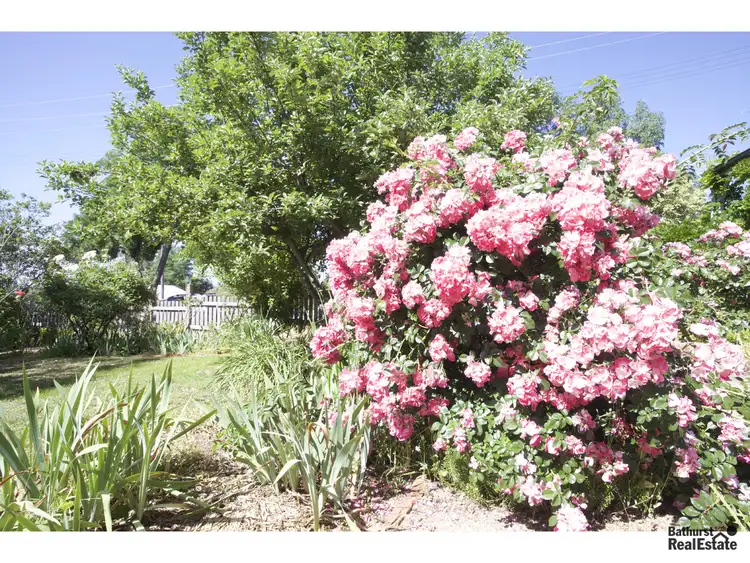 Sixth view of Homely house listing, 255 Piper Street, Bathurst NSW 2795