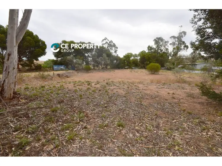 Main view of Homely land listing, LOT 55 Perseverance Court, Younghusband SA 5238