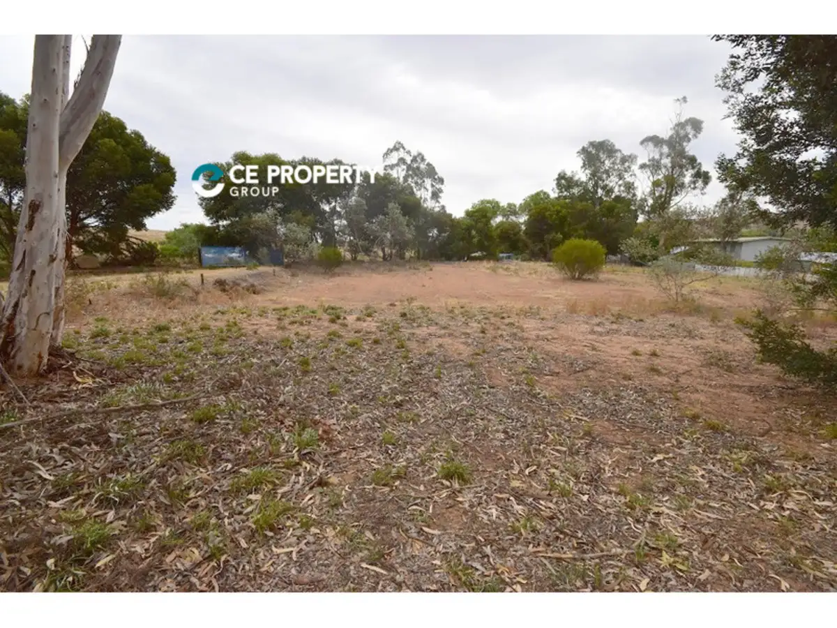 Main view of Homely land listing, LOT 55 Perseverance Court, Younghusband SA 5238
