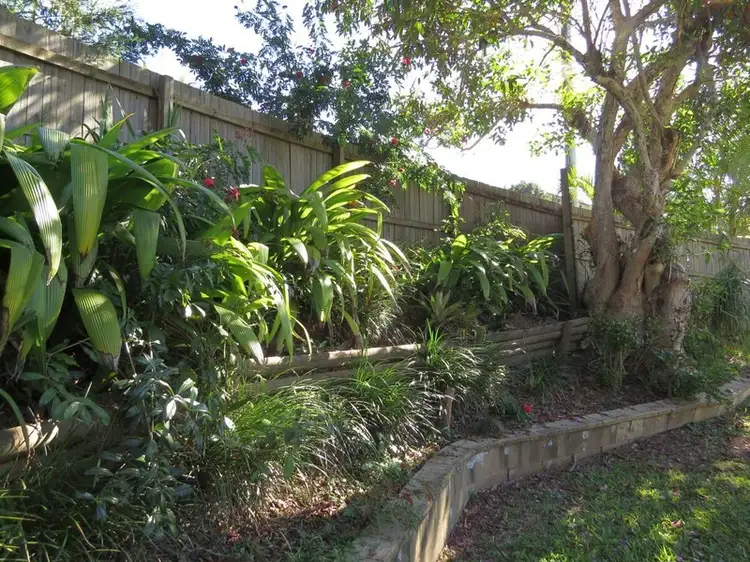 Second view of Homely house listing, 29 Bellevue Avenue, Murwillumbah NSW 2484