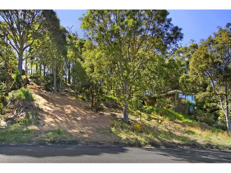 Fifth view of Homely land listing, 43 Platypus Road, Berkeley Vale NSW 2261