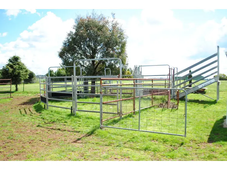Fourth view of Homely rural property listing, 296 Wilsons Lane, Forest Reefs NSW 2798