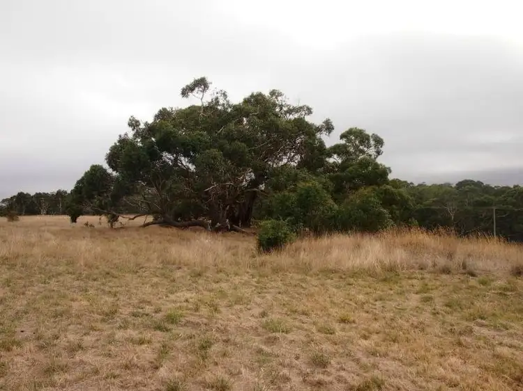 Sixth view of Homely land listing, 1871 Glenelg Highway, Wannon VIC 3301