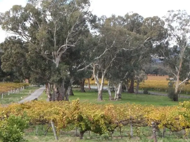 Lot 51 Whitings Road, Mclaren Flat SA 5171
