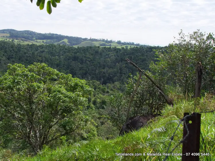 Fourth view of Homely rural property listing, LS876 Lot 436 Barter Road, Millaa Millaa QLD 4886