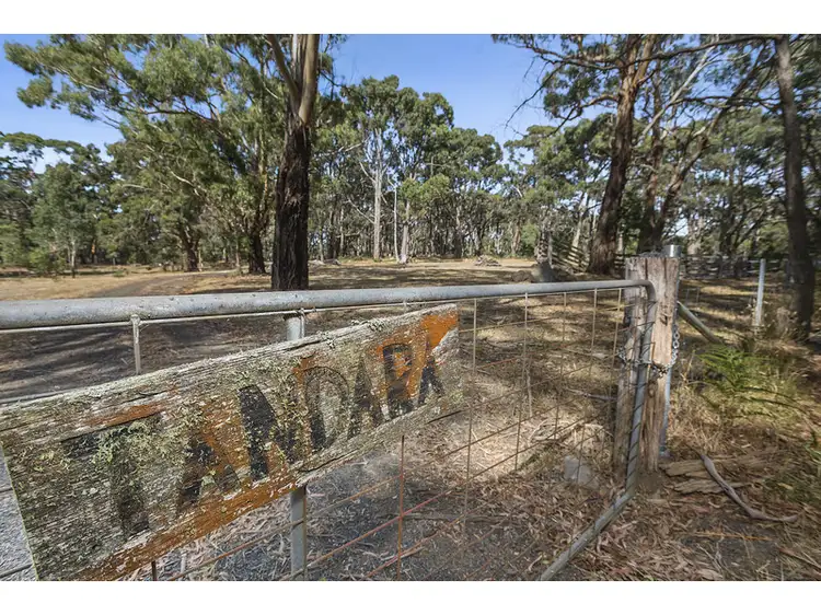 923 Burke and Wills Track, Benloch VIC 3435