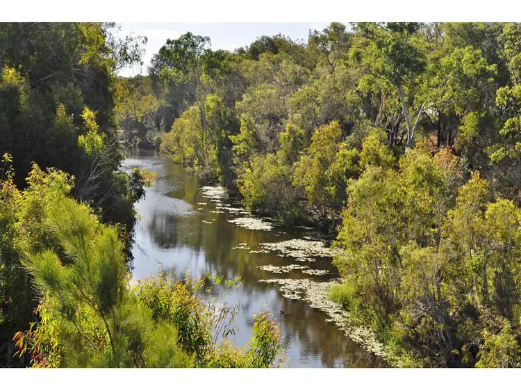 Fourth view of Homely rural property listing, 2855 Mareeba - Dimbulah Road, Mutchilba QLD 4872