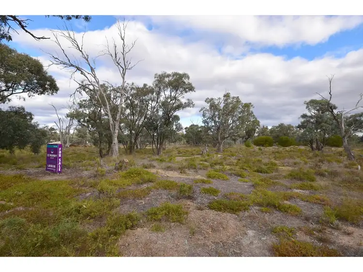 Second view of Homely land listing, 55 Page Drive, Blanchetown SA 5357