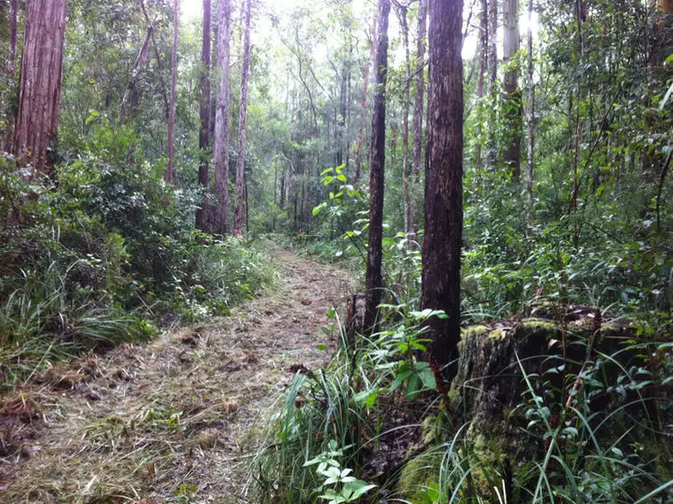Fourth view of Homely land listing, LOT L490/Lot 7 Webster Road, Wondecla QLD 4887