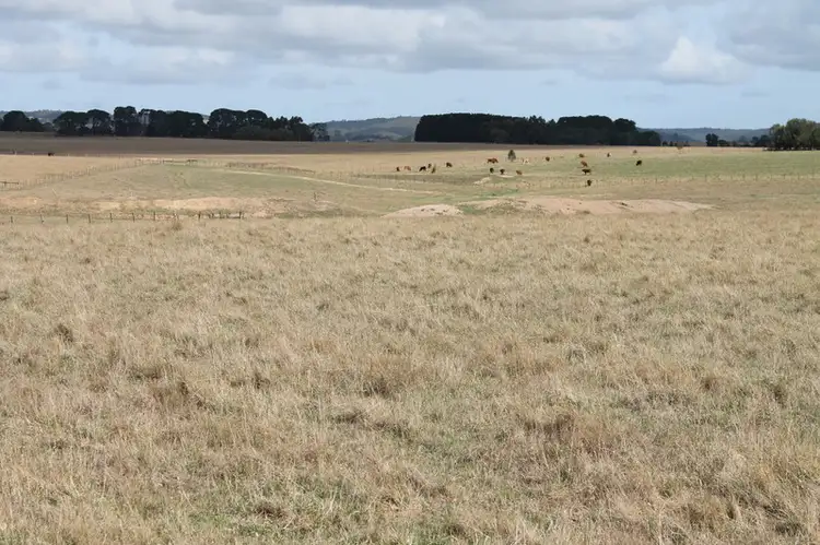 Third view of Homely rural property listing, 260 Rifle Butts Road, Deans Marsh VIC 3235