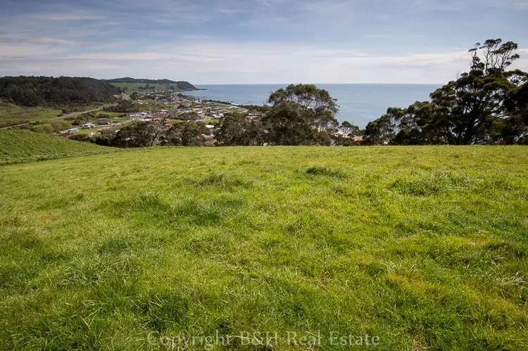 Fifth view of Homely rural property listing, 39 Creamery Road, Sulphur Creek TAS 7316