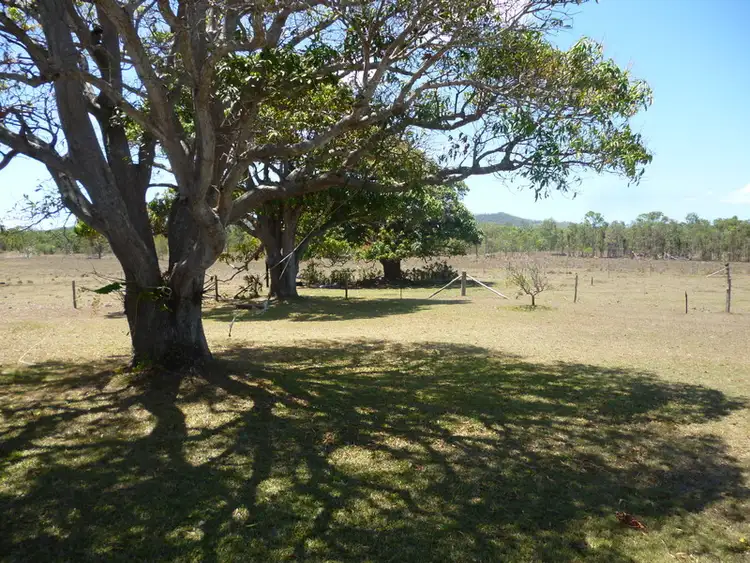 Second view of Homely rural property listing, 226 Coorooman Creek Road, Cawarral QLD 4702