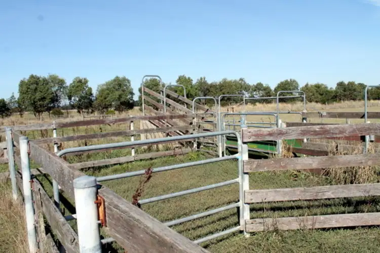 Fifth view of Homely rural property listing, 170 Tomahawk Creek Road, Irrewillipe VIC 3249